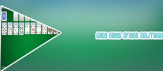 Free spider solitaire card game