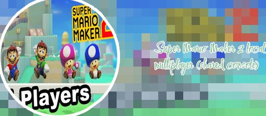 Mario maker local multiplayer
